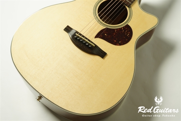 F120-GA Sitka Spruce / African Mahogany